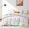 Cheap 🔥 Puredown Made in Germany 800 Fill Power 90% Down Fill European White Goose Down Comforter - Extra Warm 😀 -SOUL Naturalizer Sales 095ec38e3c074043a60528e018a86cdd 3ec0c97b 180f 40e2 897e e66581182eed 1080x