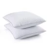 Deals 🌟 Puredown Peace Nest 2 Pack Goose Feather Throw Pillows Square Decorative Pillow Inserts for Couch or Bed 😀 -SOUL Naturalizer Sales 20dd5a6f181c4cc2a03cb8dcfa00921d 1080x