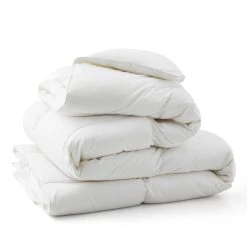 Budget 🎉 Puredown All Season White Down Fiber Comforter with 100% Cotton Cover 🎁 -SOUL Naturalizer Sales 42bb83fc4d9b4745980098dac4e78540 00ec7c56 de68 4fe0 a26a b0b226b50484 1080x