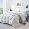 Promo ๐ Puredown 93% White Goose Down Winter Comforter (800FP) Baffled Box ๐ 2 Promo ๐ Puredown 93% White Goose Down Winter Comforter (800FP) Baffled Box ๐ -SOUL Naturalizer Sales 497ad3bb2e7f42a1954a5af11f2fe0ba ab7e1e82 df5f 4200 8594 3968e1d48b0f 1080x