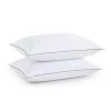 Best reviews of 🧨 Puredown Peace Nest 2PCS 15% Grey Goose Down Feather Pillow, Made in USA 🥰 -SOUL Naturalizer Sales 75c465e1a7694c36967ef6680fbcffe5 1080x
