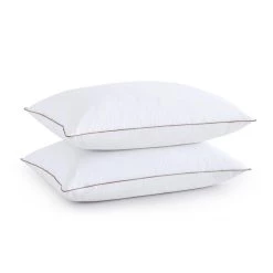 Best reviews of ๐งจ Puredown Peace Nest 2PCS 15% Grey Goose Down Feather Pillow, Made in USA ๐ฅฐ