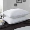 Outlet ⭐ Puredown Peace Nest 2 Pack White Goose Feather Pillows for Side and Back Sleepers, 100% Cotton Cover 🎉 -SOUL Naturalizer Sales 809250a0699e40dcb8d06e4987dd0fcd 1080x