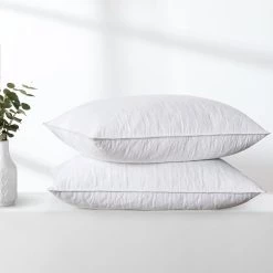 Top 10 🌟 Puredown Peace Nest 2PCS 5% White Goose Down Feather Pillow Soft Bed Pillows ✔️