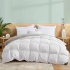 Top 10 ✨ Puredown 75% Down Comforter 600FP with Removable Dustproof Cover All Seasons 🤩 -SOUL Naturalizer Sales ca35fa969f234bce957b2fe7bb37b01c 1080x