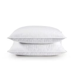 Top 10 🌟 Puredown Peace Nest 2PCS 5% White Goose Down Feather Pillow Soft Bed Pillows ✔️ -SOUL Naturalizer Sales f8c0e6a8ca5c4a0488bb3f7aab3e3971 1080x