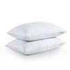 Deals 👍 Puredown Peace Nest Set of 2 Feather Down Bed Pillows w/ 100% Cotton Cover 😉 -SOUL Naturalizer Sales fd4e246fbf8245edb545264e5c0ad491 a52eefd7 5e3f 4cc5 9621 095a431ce9c3 1080x